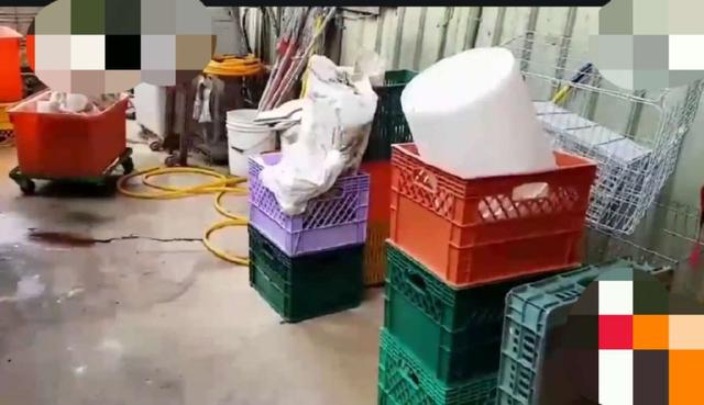 蛋品公司4年违规达17次，“狸猫换太子”揭秘 网友惊呼“这才是真坏蛋”